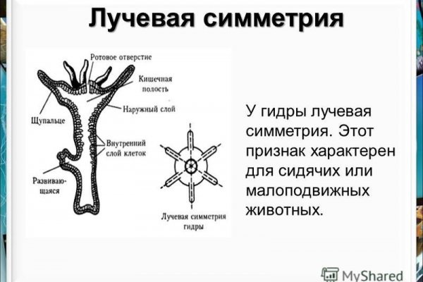 Купить гашиш нижний