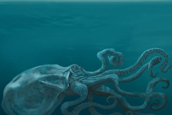 Kraken официальное зеркало kraken dark link
